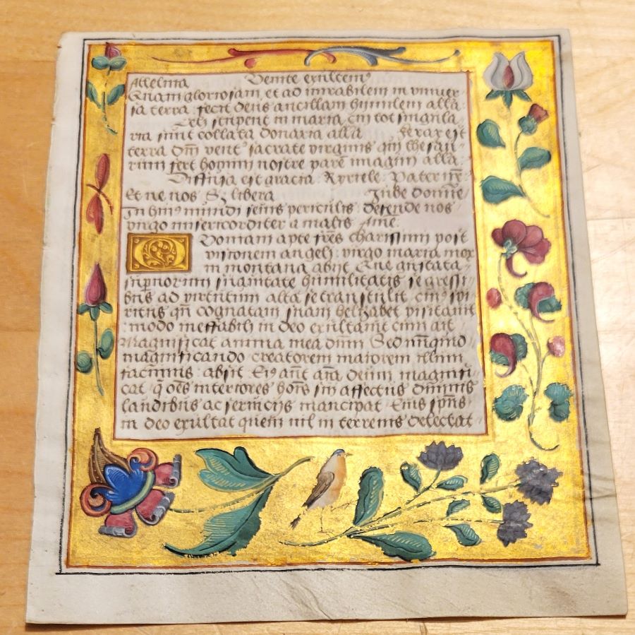 An illuminated Psalter leaf on vellum: Latin text in a gold ground border painted with roses, columbine and a small brown bird.