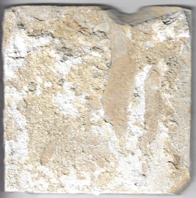 Dutch Delft Tile with a Pastoral Scene, photograph 2