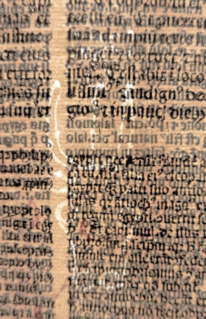Latin Vulgate Bible Leaf, Book of Daniel 10–11, photograph 4