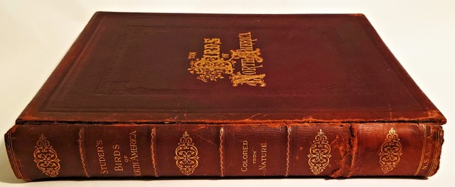 Studer’s Birds of North America, New York, 1888, photograph 2