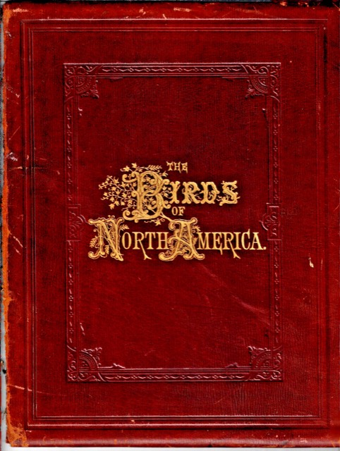 Studer’s Birds of North America, New York, 1888, photograph 4