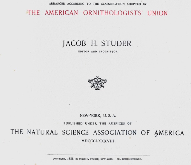 Studer’s Birds of North America, New York, 1888, photograph 7