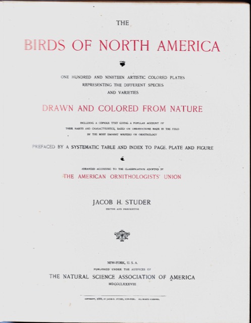 Studer’s Birds of North America, New York, 1888, photograph 8
