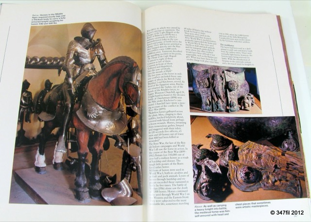 A World of Horses by Anne Charlish, 1982, photograph 9