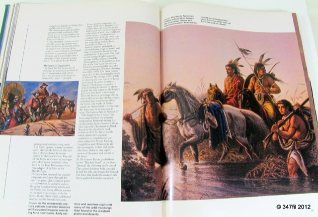 A World of Horses by Anne Charlish, 1982, photograph 10