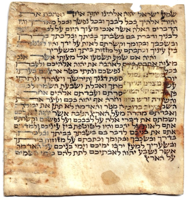 Hebrew Shema Yisrael Scroll on Vellum, from an Amulet