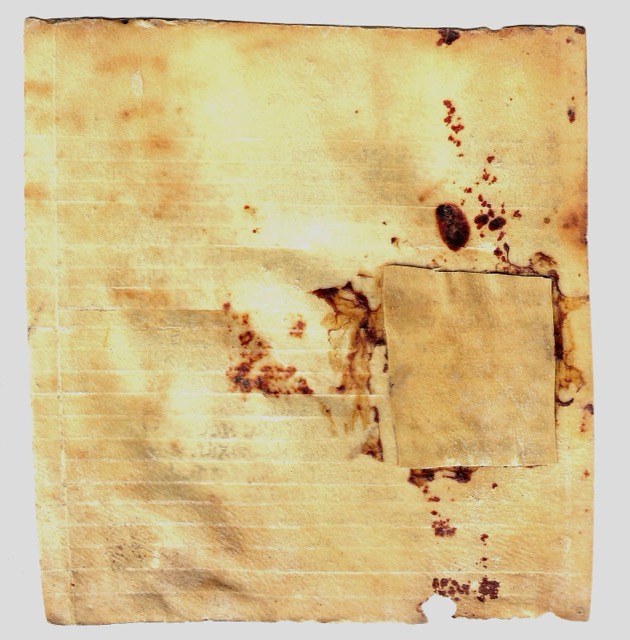 Hebrew Shema Yisrael Scroll on Vellum, from an Amulet, photograph 2