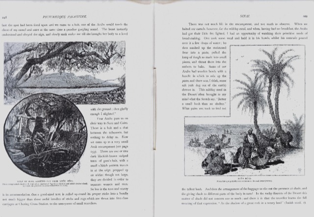 Picturesque Palestine, Sinai & Egypt, Issue No. XXXI, 1882, photograph 3