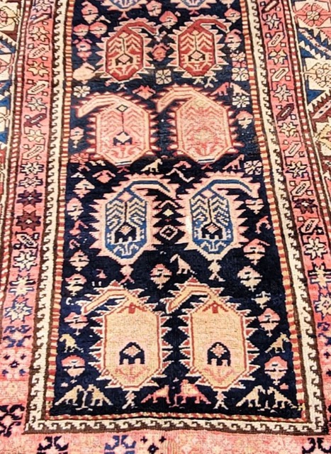 Caucasian Gence (Ganja) Runner